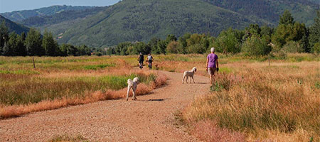 Rail Trail adjacent to Silver Springs